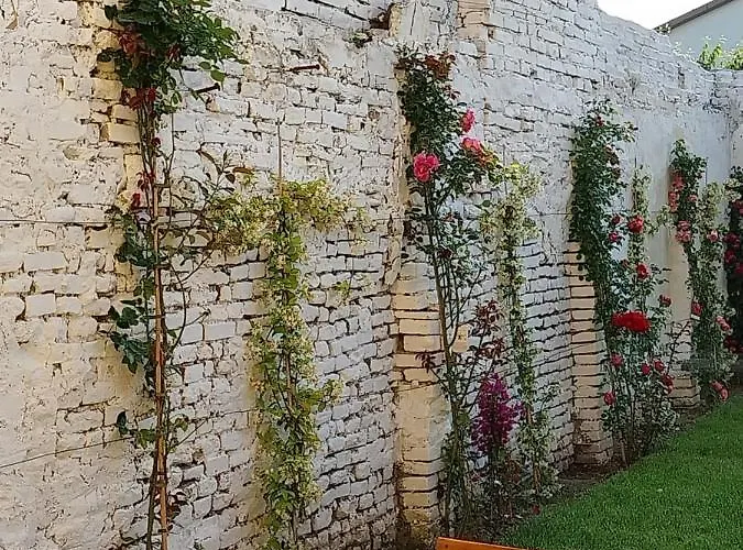 Bed & Breakfast La Casa Gialla